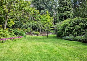 Optimiser l'expérience du jardin à Lichères-près-Aigremont